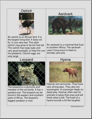Fact Card: African Animals 3