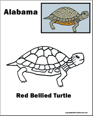 Alabama: State Reptile – Red Bellied Turtle