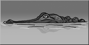 Clip Art: Alligator Submerged Grayscale