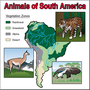 Clip Art: Animals of South America Color