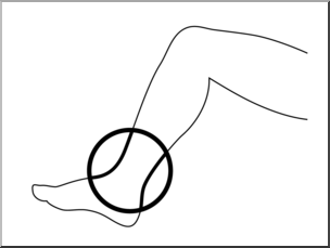 Clip Art: Parts of the Body: Ankle B&W Unlabeled