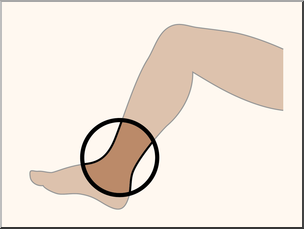 Clip Art: Parts of the Body: Ankle Color Unlabeled