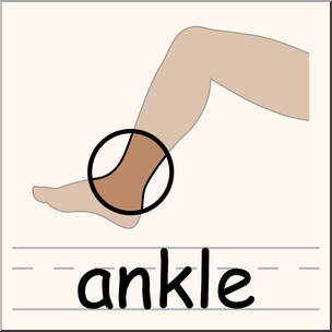 Clip Art: Parts of the Body: Ankle Color