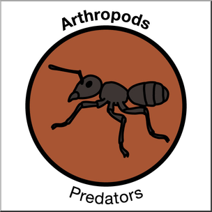 Clip Art: Soil Ecology Icons: Arthropods 1 Color