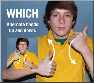 Photo: ASL Vocabulary: Which 01 HiRes