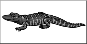 Clip Art: Baby Alligator Grayscale