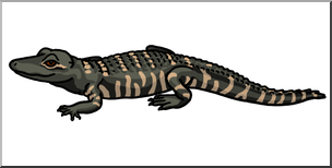 Clip Art: Baby Alligator Color 2