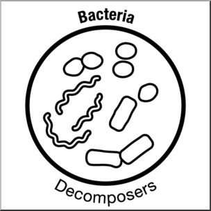 Clip Art: Soil Ecology Icons: Bacteria B&W