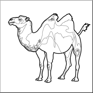 Clip Art: Bactrian Camel B&W
