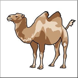 Clip Art: Bactrian Camel Color 1