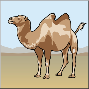 Clip Art: Bactrian Camel Color 2