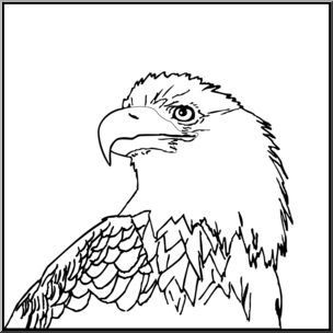Clip Art: Bald Eagle 2 B&W