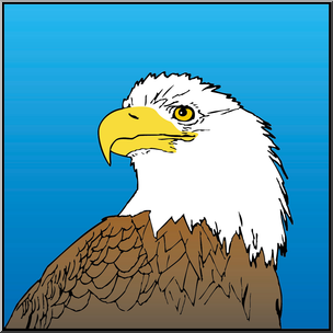 Clip Art: Bald Eagle 2 Color
