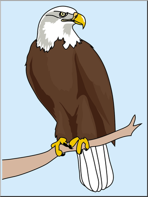 Clip Art: Bald Eagle 1 Color