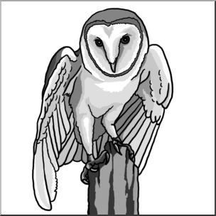 Clip Art: Barn Owl Grayscale