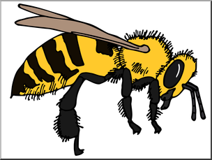 Clip Art: Insects: Bee Color
