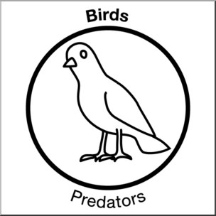 Clip Art: Soil Ecology Icons: Birds B&W