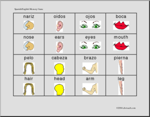 Memory Game: Body (Spanish/English)