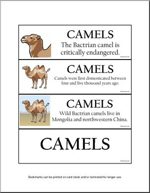 Bookmarks: Camels (color)
