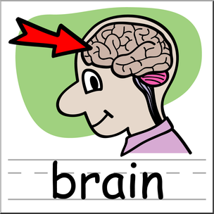 Clip Art: Basic Words: Brain Color Labeled