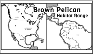 Clip Art: Habitat Map: Brown Pelican Grayscale