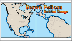 Clip Art: Habitat Map: Brown Pelican Color