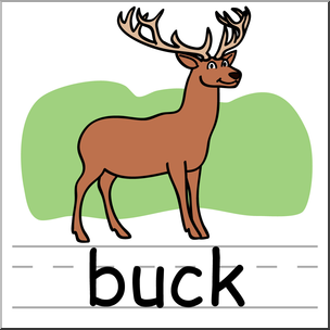 Clip Art: Basic Words: Buck Color Labeled