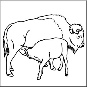 Clip Art: Buffalo w/ Calf B&W
