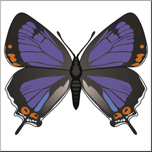 Clip Art: Butterfly: Colorado Hairstreak Color