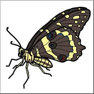 Clip Art: Butterfly 01 Color