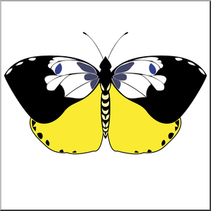 Clip Art: Butterfly: Dogface Color