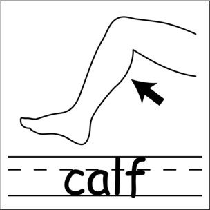 Clip Art: Parts of the Body: Calf B&W