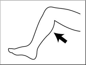 Clip Art: Parts of the Body: Calf B&W Unlabeled