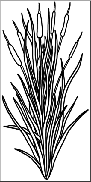 Clip Art: Plants: Cattail B&W