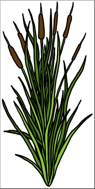 Clip Art: Plants: Cattail Color 2