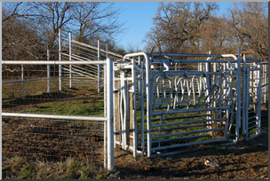 Photo: Cattle Chute 01 LowRes