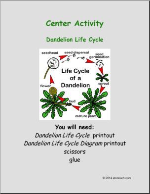 Learning Center: Life Cycle of a Dandelion (elem)