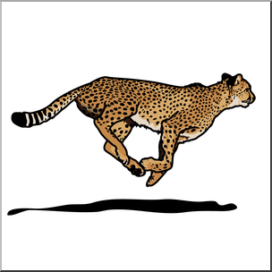 Clip Art: Big Cats: Cheetah Color 2