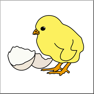 Clip Art: Chick & Egg Color