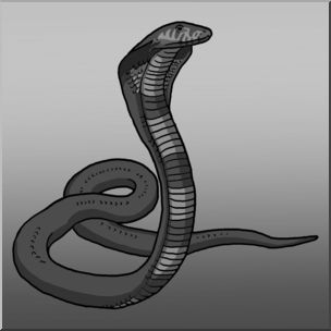 Clip Art: Cobra Grayscale