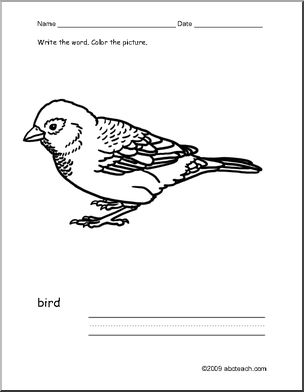 Coloring Page: Write and Color “Bird” (ESL)