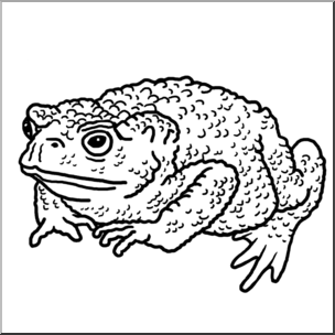 Clip Art: Common Toad B&W