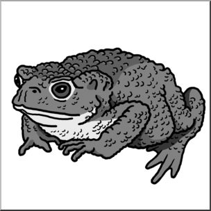 Clip Art: Common Toad Grayscale