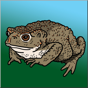 Clip Art: Common Toad Color 2