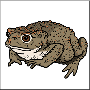 Clip Art: Common Toad Color 1