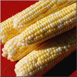 Photo: Corn 01b HiRes