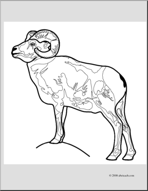 Clip Art: Bighorn Sheep (coloring page)