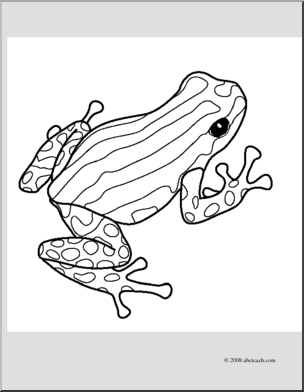 Clip Art: Frogs: Pasco Poison Dart Frog (coloring page)