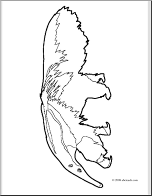 Clip Art: Giant Anteater (coloring page)