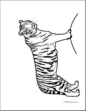 Clip Art: Big Cats: Tiger (coloring page)